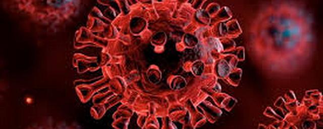В Амурской области зарегистрировано еще 32 случая коронавируса