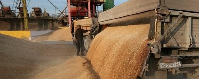 Ткачев: Россия сохранит мировое лидерство по экспорту зерна