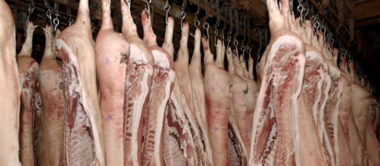 Мексика намерена возобновить поставки мяса в Россию