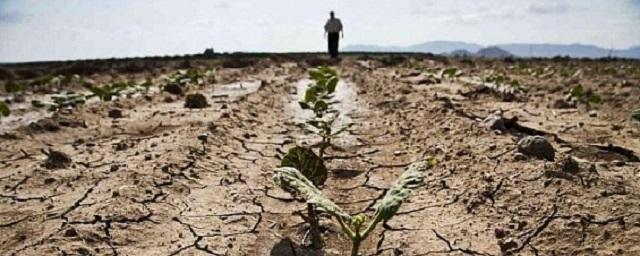 МЧС Адыгеи сообщает о повышенной готовности из-за засухи