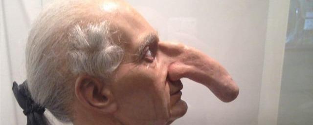 Японские ученые научились определять размер пениса по длине носа