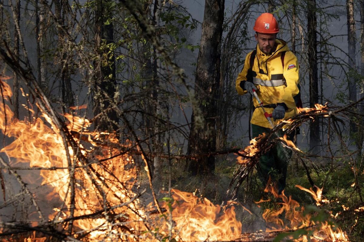 В Бурятии за сутки обнаружено 16 новых лесных пожаров
