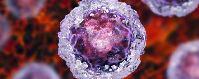Гистамин делает опухоли более устойчивыми к иммунотерапии