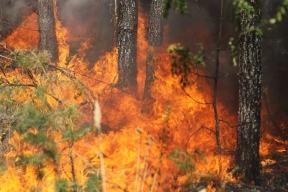 Пять лесных пожаров в Якутии охватывают более 4 тысяч гектаров леса