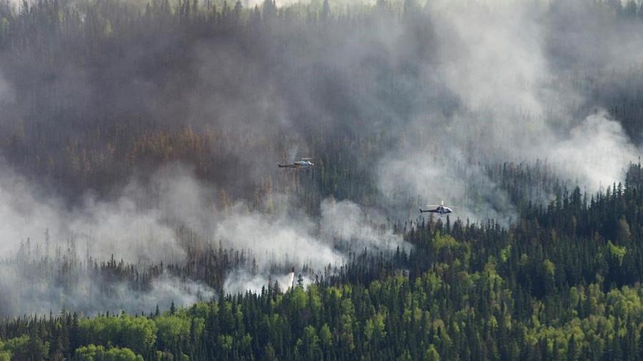 В Канаде эвакуировали более 9 тысяч человек из-за лесных пожаров