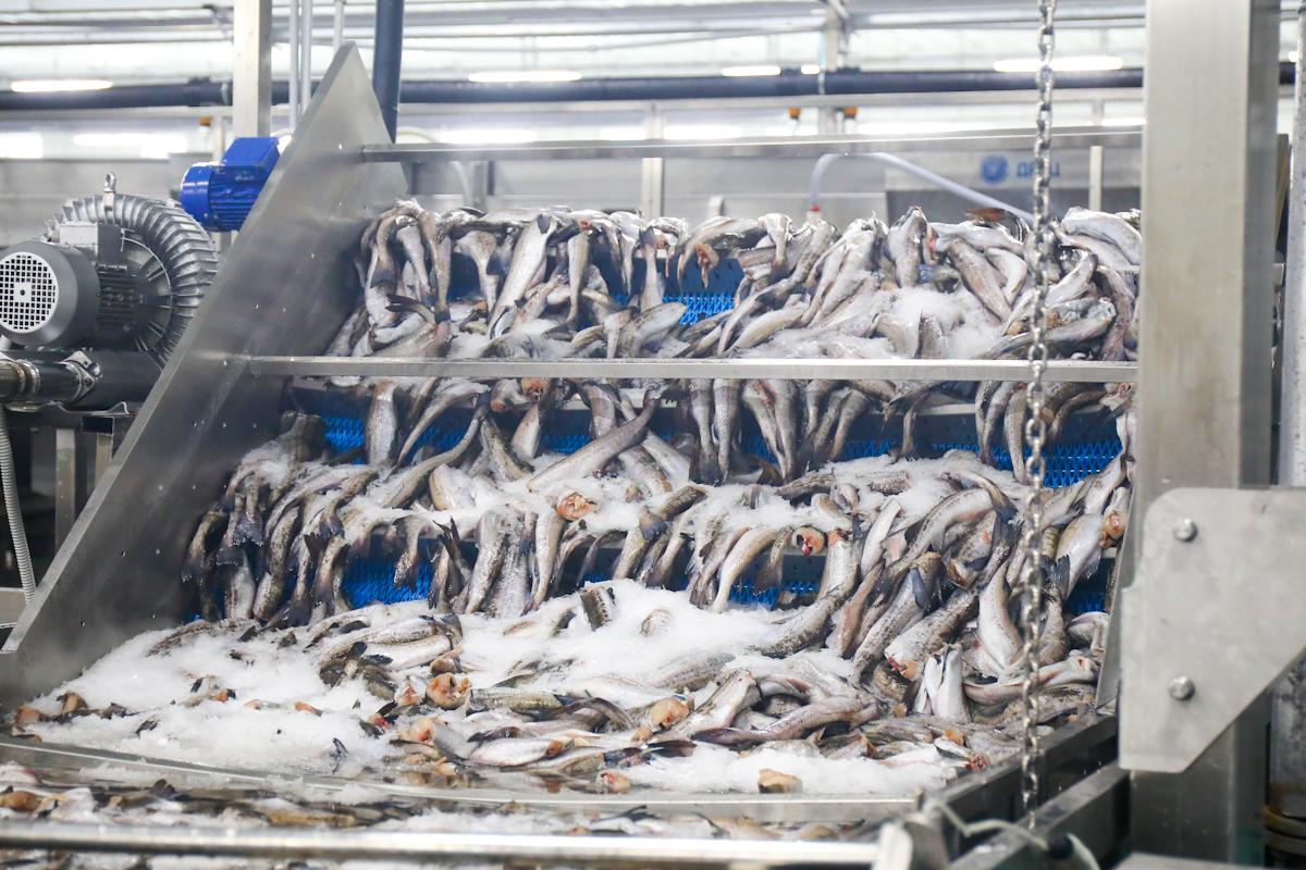 Миякинская рыбная компания и правительство Башкирии заключили соглашение о защите инвестиций