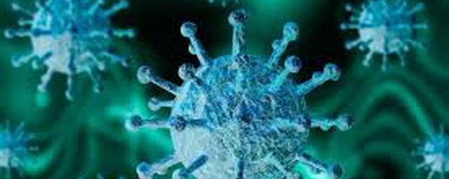 В Новосибирской области выявили 95 новых случаев коронавируса