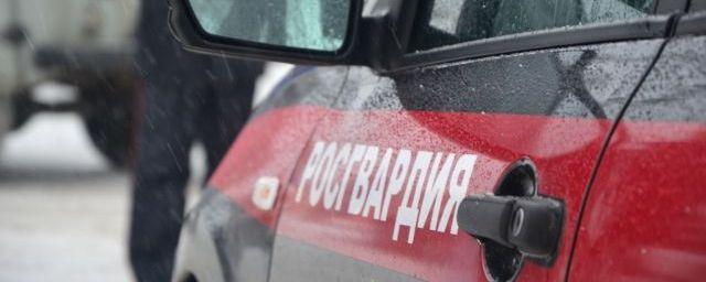 В Рыбинске на берегу реки найдены три ручные гранаты