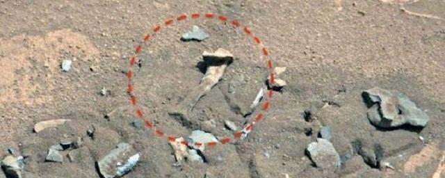 Уфолог заметил на снимке Марса кость от ноги пришельца