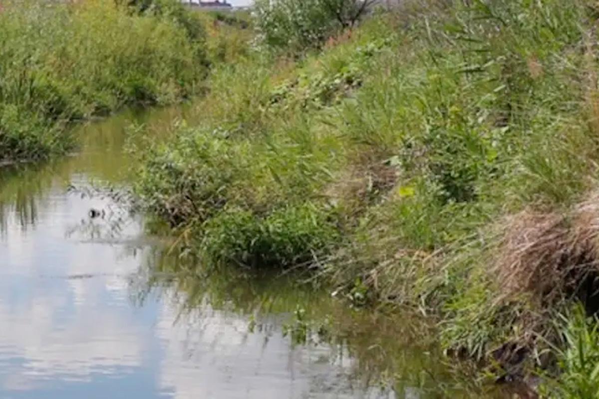 В Мордовии в дренажной канаве утонула 2-летняя девочка