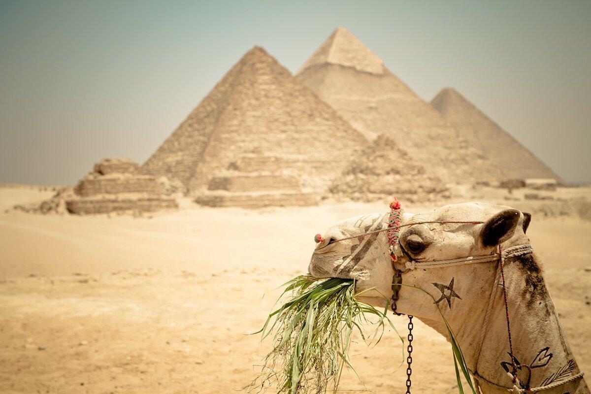 Блогер рассказал, почему апрель – это идеальный месяц для отдыха в Египте