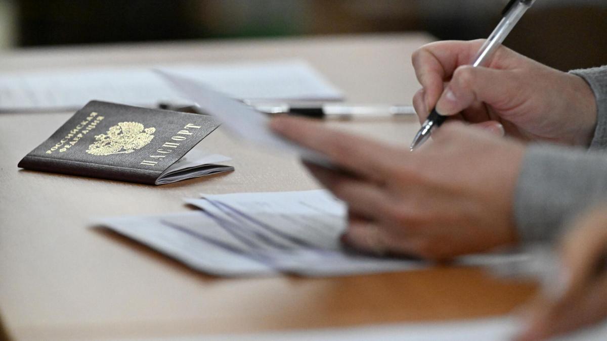 Ивановские выпускники блеснули знаниями: стали известны итоги ЕГЭ по информатике и иностранным языкам