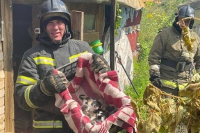 Спасатели Орловской области вытащили шесть котят из охваченной огнем дачи