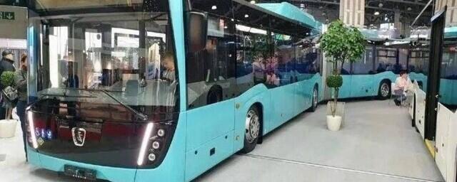 Петербуржцы призвали Смольный не «испытывать» на горожанах новые автобусы на альтернативном топливе