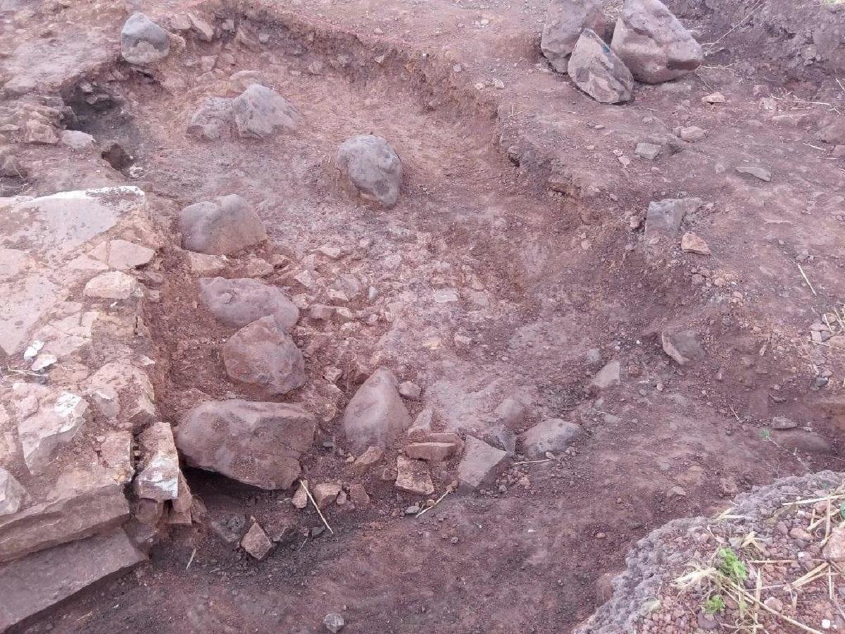 Ученые смогли доказать, что гладиаторы бились со львами