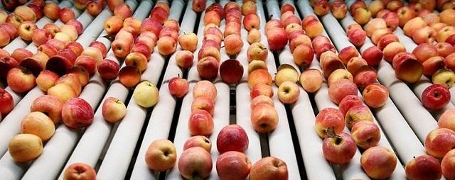 В Кабардино-Балкарии построят большое плодохранилище за 578 млн рублей