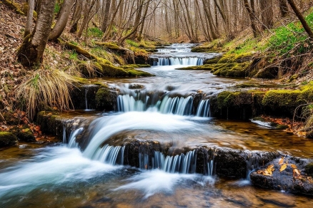 В Муроме закрыли все родники из-за массовой вспышки кишечной инфекции
