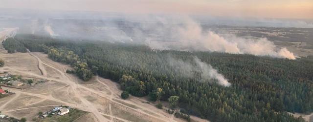Лесной пожар в Тарасовском районе Ростовской области локализован