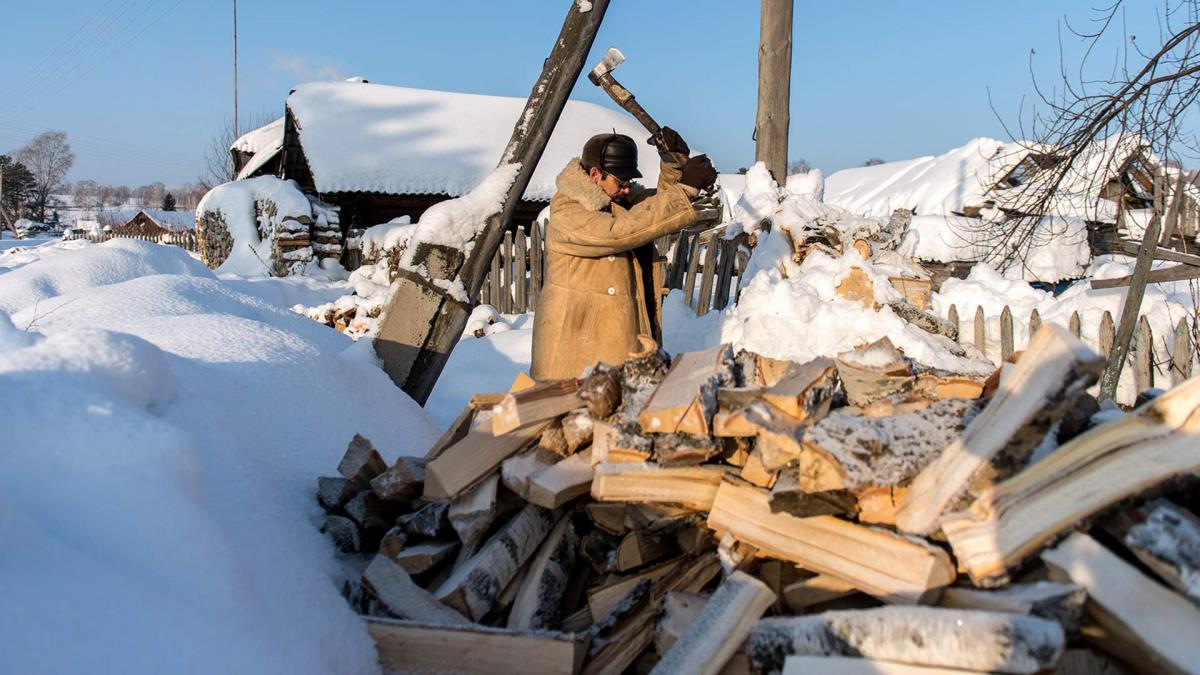 Ранние морозы в России заставили резко нарастить заготовку дров