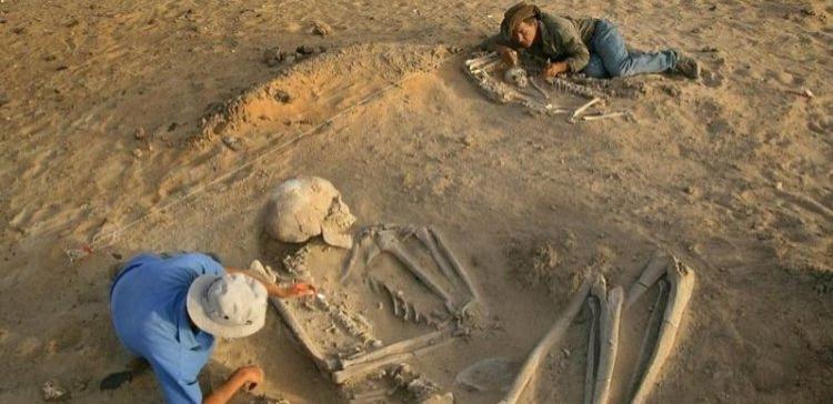 В Эквадоре обнаружены скелеты гигантских людей