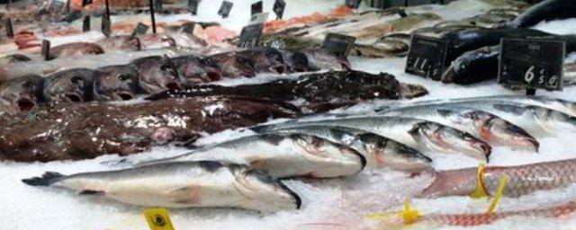 В Башкирии на трассе продавали рыбу с кишечной палочкой