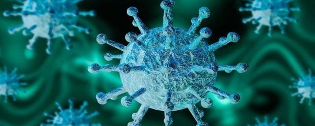 В новосибирской психбольнице произошла вспышка коронавируса