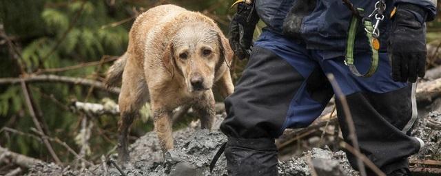 В Саратове после исчезновения Анастасии Мельниковой возбудили уголовное дело