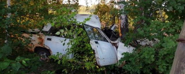 Юная омичка за рулем ВАЗ-2105 разбилась насмерть, врезавшись в дерево