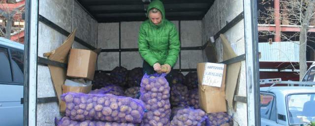 В Новосибирскстате зафиксировали снижение цен в регионе