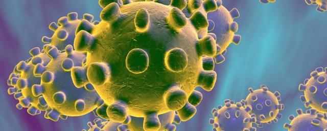 В США выросла суточная смертность от коронавируса