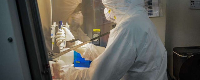 В Кении зафиксировали 16 новых штаммов коронавируса