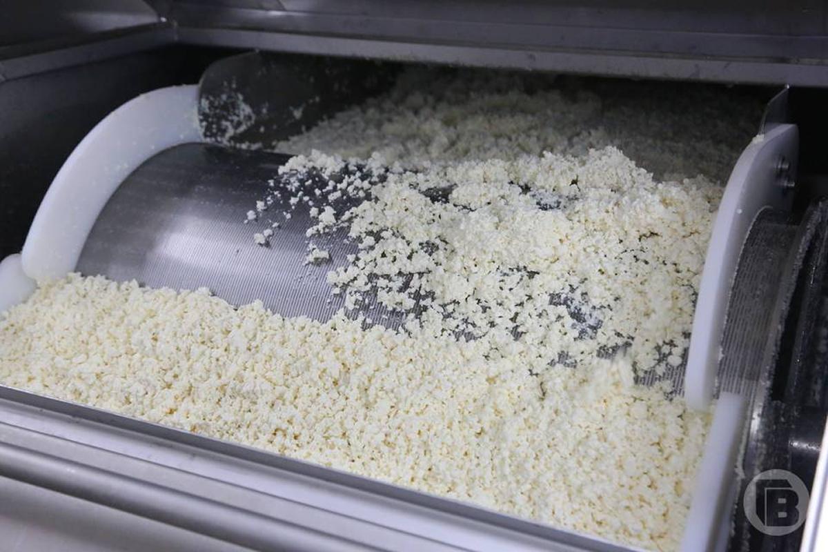 Россельхознадзор пресек производство творога с поддельными документами