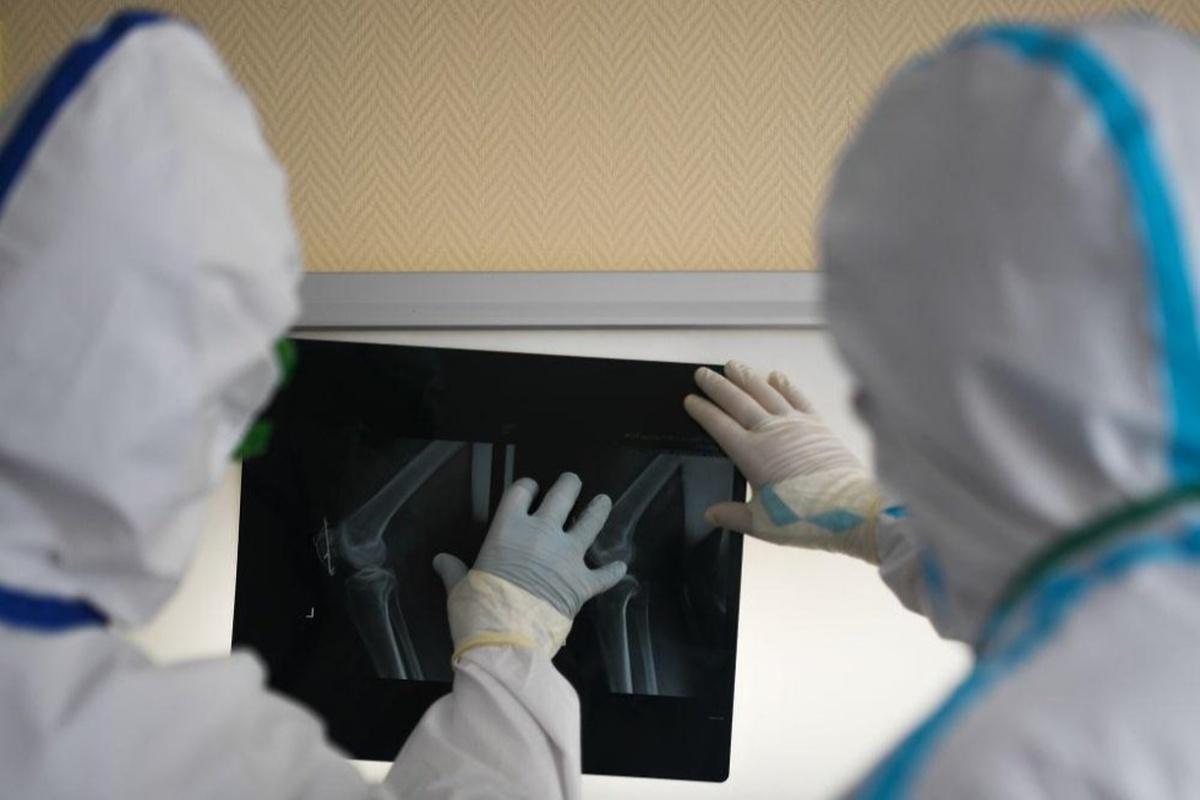 В Ростове-на-Дону могут создать имплантаты, которые превращаются в кости