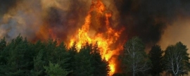 В Забайкалье районные власти уличили в халатной подготовке к лесным пожарам