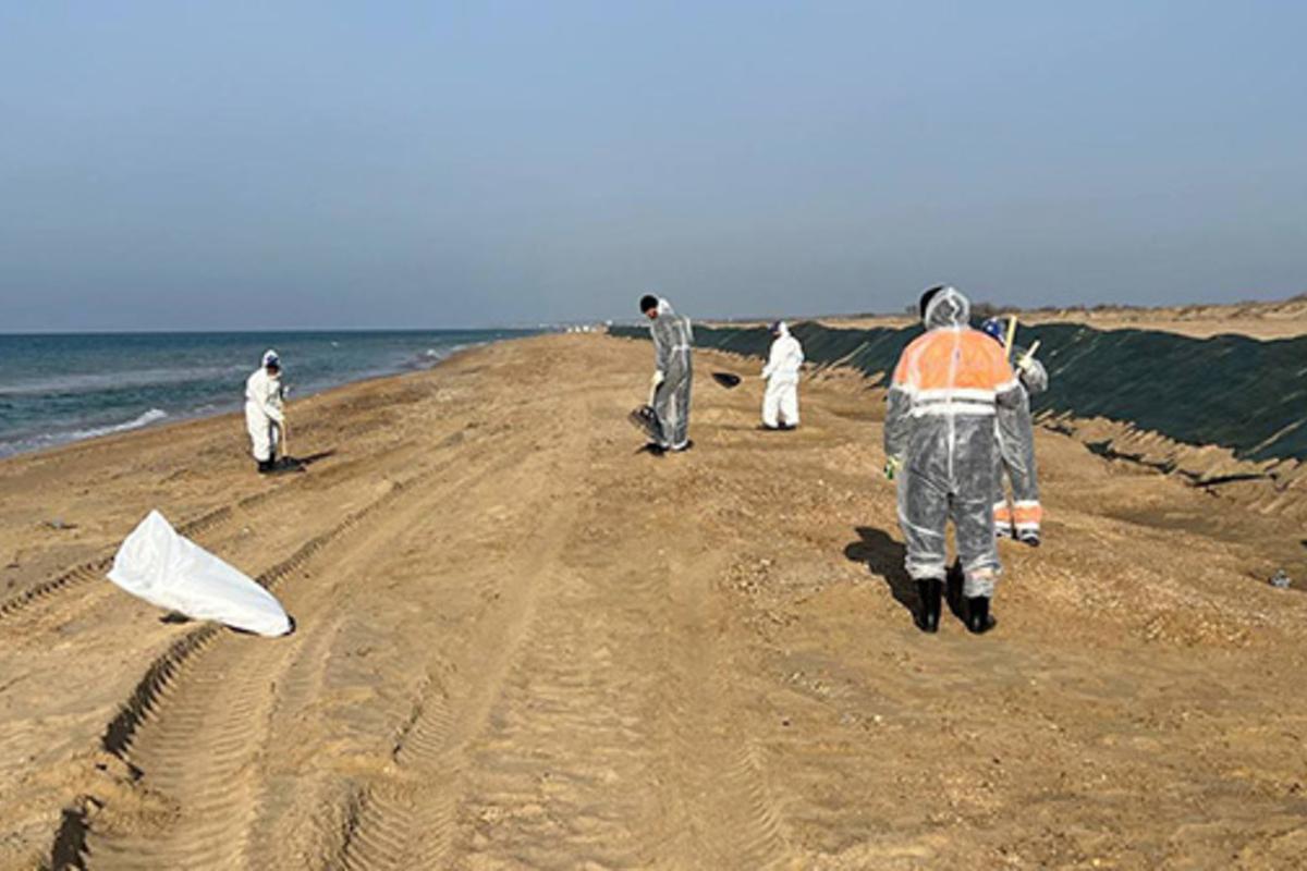 В РСТ оценили как скажется на отрасли закрытие пляжей Анапы