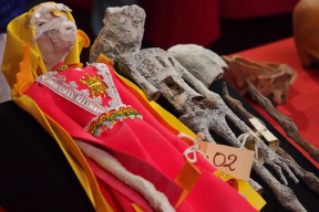 В мумии «инопланетянина» из Перу обнаружили трехпалый эмбрион