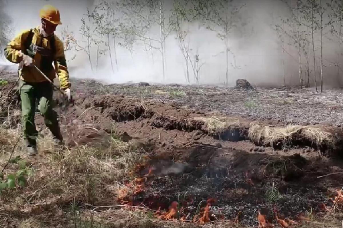 Десантники-пожарные потушили 29 пожаров за сутки, в том числе и на территории Забайкалья
