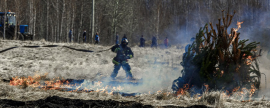 В Карталинском районе под Челябинском ввели особый противопожарный режим