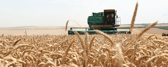 Новосибирские фермеры получат господдержку в рамках нацпроекта