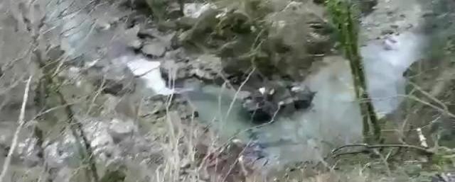 Трое российских военных погибли в Абхазии при падении БТР в ущелье