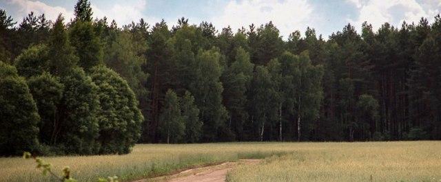 На Смоленщине доходы от лесов и вод превысили 247 млн рублей