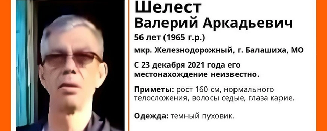 В подмосковной Балашихе пропал 56-летний Валерий Шелест