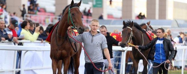 В Татарстане пройдет лошадиный «Дакар»