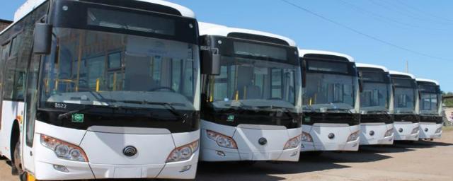 В Задонском районе Липецкой области сократили количество автобусных рейсов