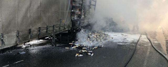 В Мордовии в ДТП с пожаром погибли женщина и четверо детей