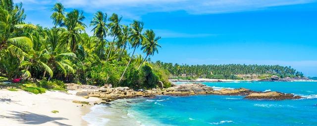 Every third tourist arriving to Sri Lanka in January was from Russia