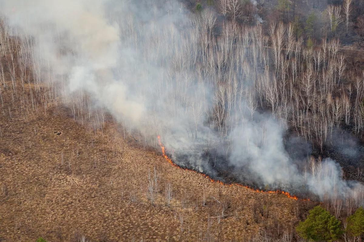 В режим повышенной готовности переведены спасатели и пожарные в ЕАО