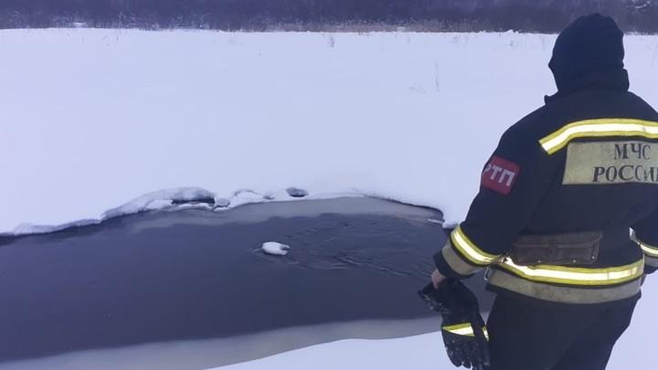 В реке на территории Ивановской области нашли тело ранее пропавшей 13-летней девочки