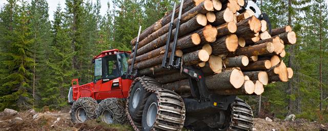 Колымским предпринимателям упростят процедуру лесозаготовки
