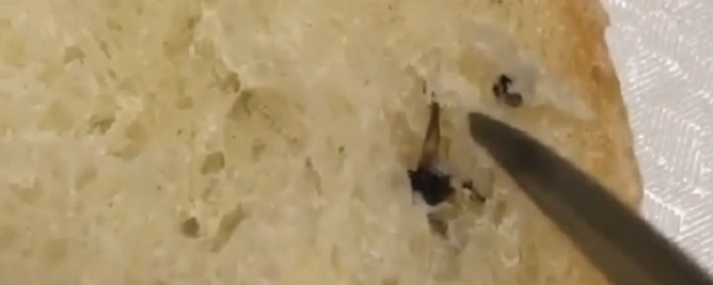В КБР покупатель нашел в хлебе муху